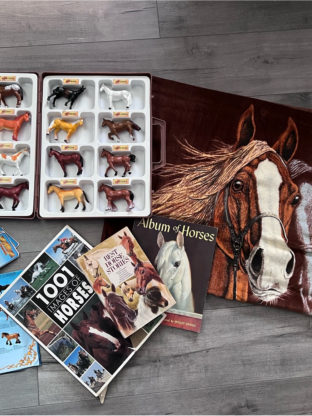 Vintage Horse Collectible Set with Books, Toys & Beach Towel